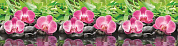 Кухонный фартук ПВХ Орхидея 600*3000
