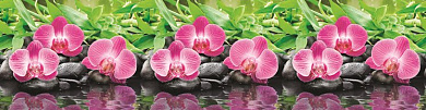 Кухонный фартук ПВХ Орхидея 600*3000