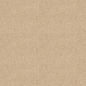 Линолеум MASTER PROXI 1 (2мм) 4м (рулон)