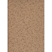 Линолеум Арго-1 (2,5мм) 2,5м(рулон) (Р)